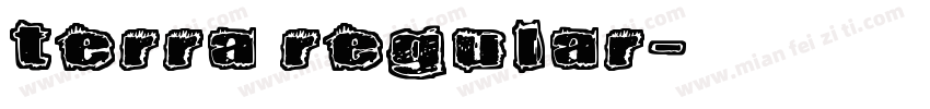 TERRA Regular字体转换